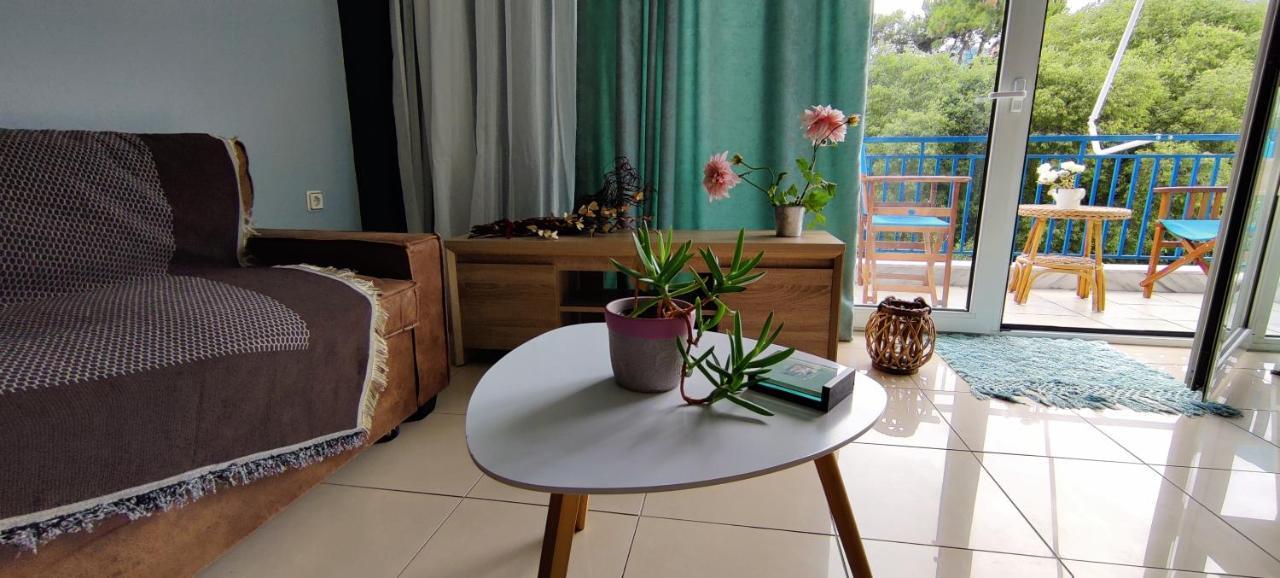 Hospitable Appartment In The Central Park, 잰티 외부 사진